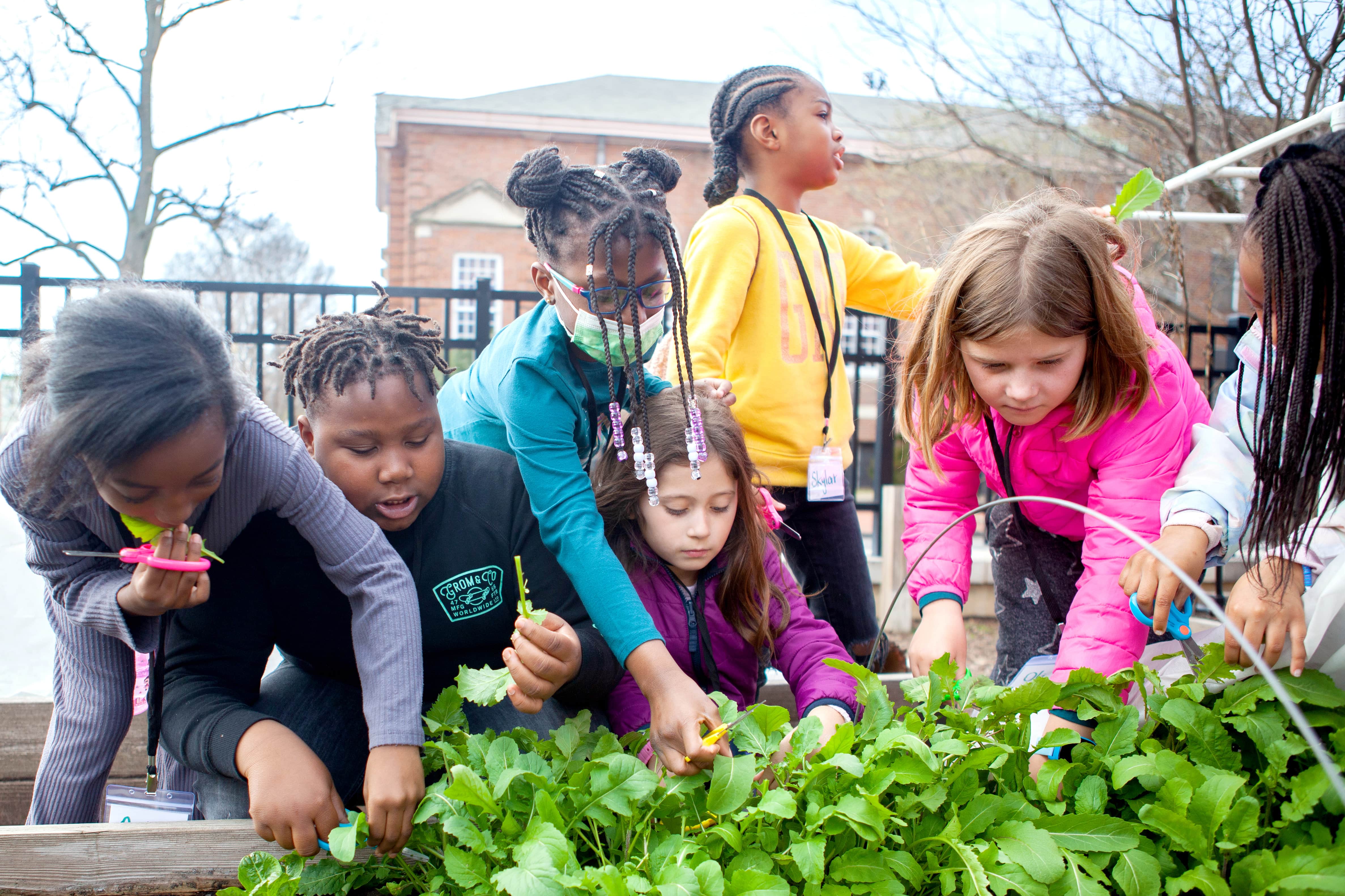 Children at a farmers market